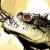 :iconfrankyc: