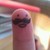 :iconfrannycassar: