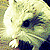 :iconfrantzport: