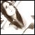:iconfrantzz: