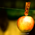 :iconfrayart: