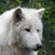 :iconfre3-r4dical: