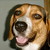 :iconfreakgame99: