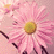 :iconfreakingawesomegood: