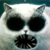 :iconfreakycatplz: