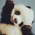 :iconfrecklesmile: