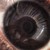:iconfred-plass: