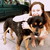 :iconfrederikelisabet: