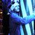 :iconfredskin: