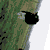 :iconfredy1602: