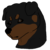 :iconfree-run-kennel:
