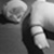 :iconfree-sia: