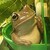 :iconfreebird74: