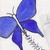 :iconfreedom-painter: