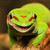 :iconfreedom2121: