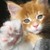:iconfreedomhunter17: