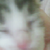:iconfreedomschance: