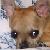 :iconfreeflyer28:
