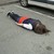 :iconfreehugs767: