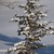 freek4photos :iconfreek4photos: