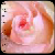 :iconfreekama: