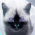 :iconfreeki-umpa-umpa:
