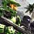 :iconfreekill1: