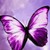 :iconfreelanceartist44: