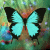 :iconfreelancer-star: