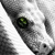:iconfreelancingnomad: