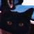 :iconfreepou: