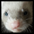 :iconfreepster: