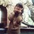 :iconfreesiaphan: