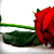 :iconfreesoul89:
