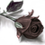 :iconfreespirit1412: