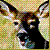 :iconfreewind1313: