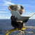 :iconfreewiz: