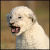 :iconfreezeXtheXframe: