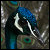 :iconfreezing-stone: