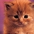 :iconfreezingkiss: