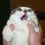 :iconfreiheitskampfer: