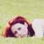 :iconfrenchiee: