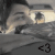 :iconfreric001: