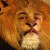 :iconfreshalex: