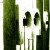 :iconfreshli: