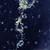 :iconfreshsplash: