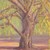 :iconfreshwillow:
