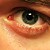 :iconfresnay: