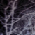 :iconfrey-a:
