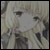 :iconfreya33: